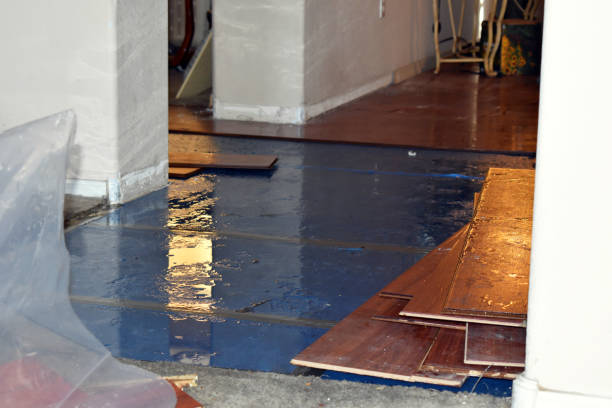 Professional Sewage Cleanup technician working in Albion, RI